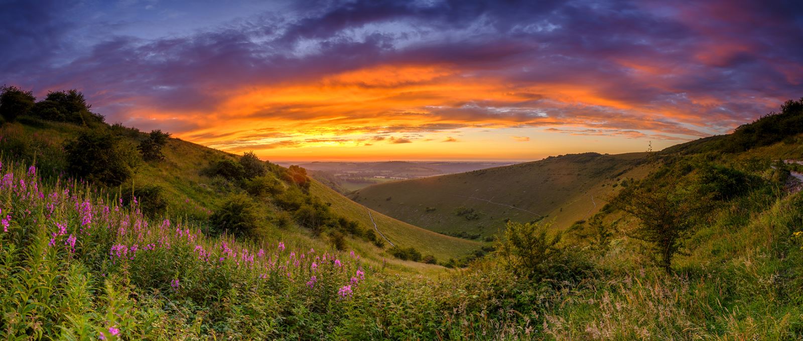 Butser Hill, Hampshire